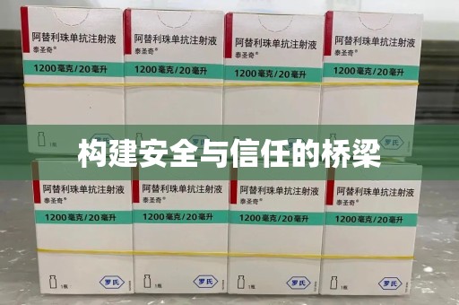 海口构建安全与信任的桥梁
