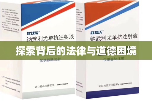 海口探索背后的法律与道德困境