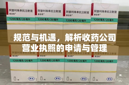 海口规范与机遇，解析收药公司营业执照的申请与管理