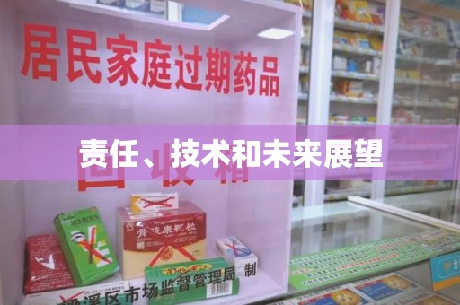海口责任、技术和未来展望