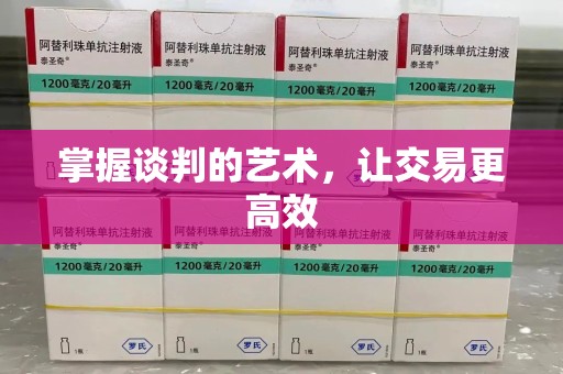 海口掌握谈判的艺术，让交易更高效