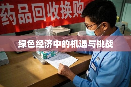 海口绿色经济中的机遇与挑战