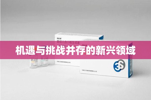 海口机遇与挑战并存的新兴领域