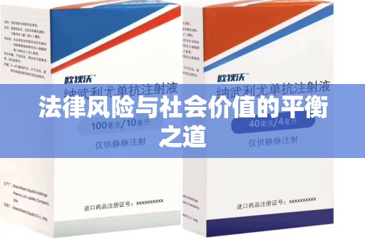 海口法律风险与社会价值的平衡之道