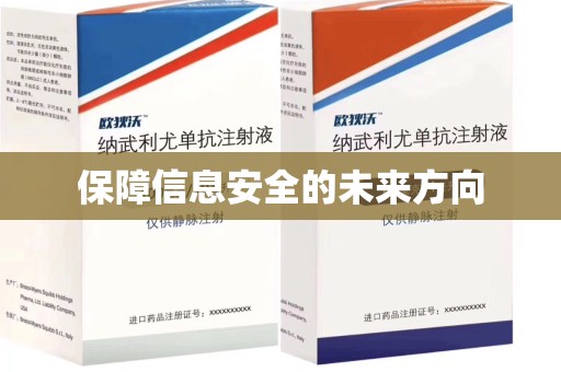 海口保障信息安全的未来方向