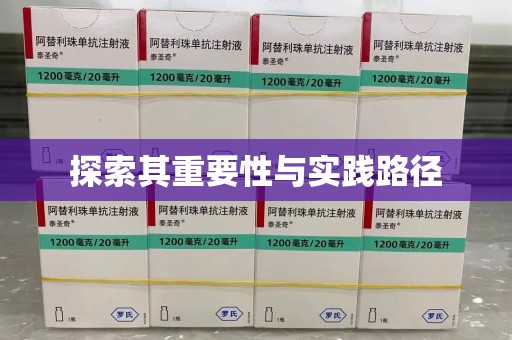 海口探索其重要性与实践路径