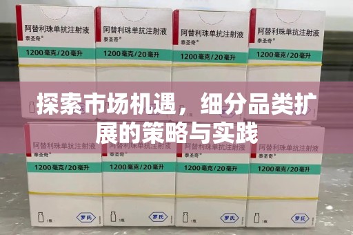 海口探索市场机遇，细分品类扩展的策略与实践
