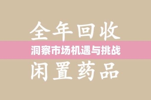 海口洞察市场机遇与挑战