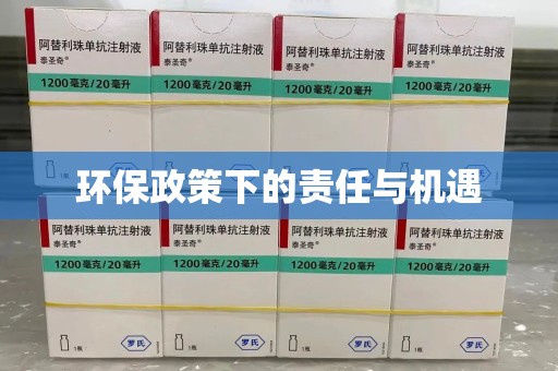 海口环保政策下的责任与机遇