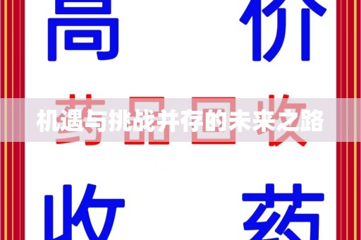 海口机遇与挑战并存的未来之路