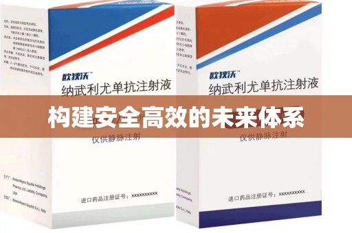 海口构建安全高效的未来体系