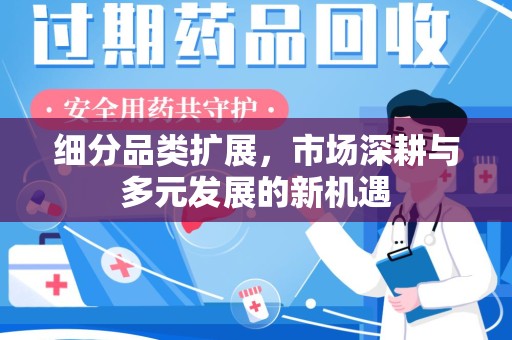 海口细分品类扩展，市场深耕与多元发展的新机遇