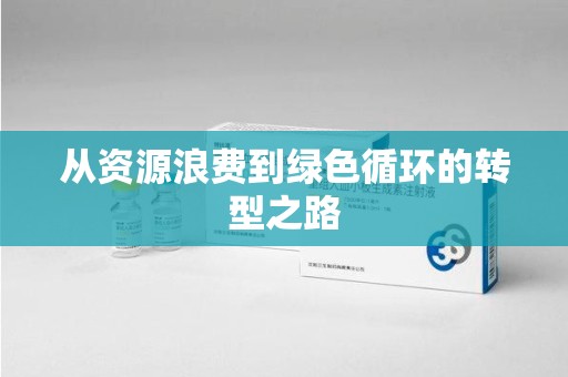 海口从资源浪费到绿色循环的转型之路