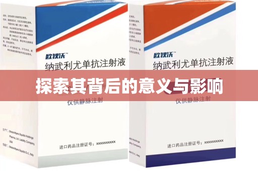 海口探索其背后的意义与影响