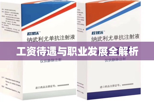 海口工资待遇与职业发展全解析