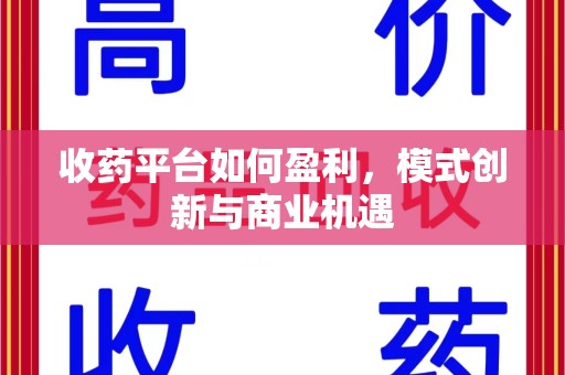 海口收药平台如何盈利，模式创新与商业机遇
