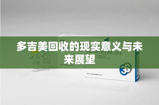 海口多吉美回收的现实意义与未来展望
