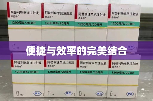 海口便捷与效率的完美结合