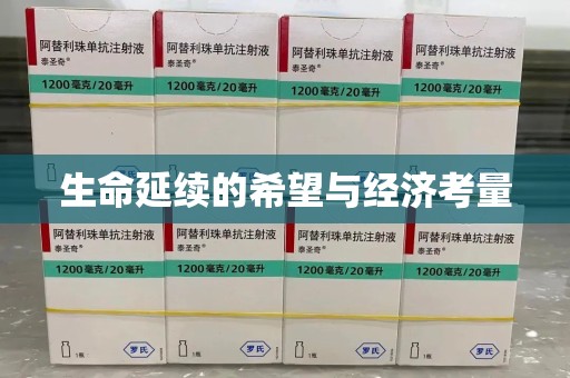 海口生命延续的希望与经济考量