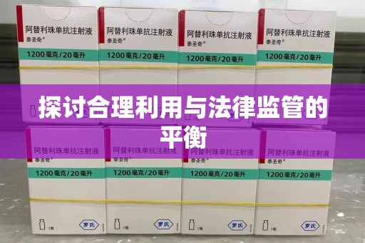 海口探讨合理利用与法律监管的平衡