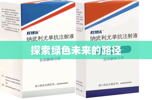 海口探索绿色未来的路径