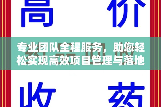 海口专业团队全程服务，助您轻松实现高效项目管理与落地