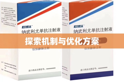 海口探索机制与优化方案