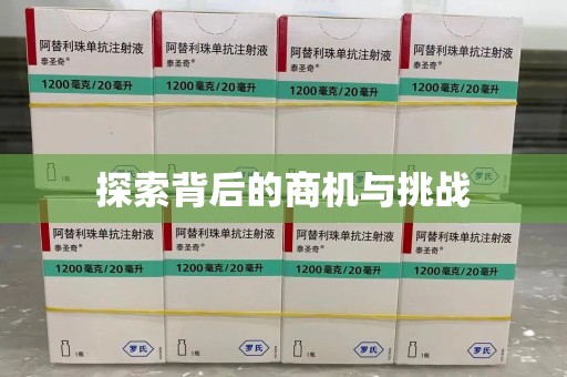 海口探索背后的商机与挑战