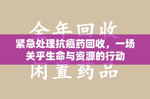 海口紧急处理抗癌药回收，一场关乎生命与资源的行动