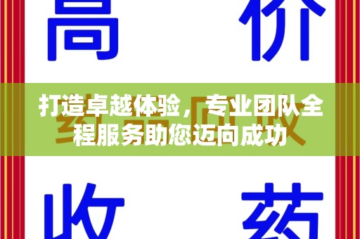海口打造卓越体验，专业团队全程服务助您迈向成功