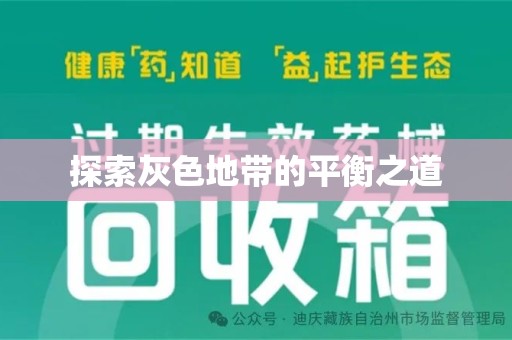 海口探索灰色地带的平衡之道